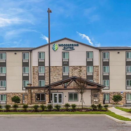 Woodspring Suites Tampa Airport North Veterans Expressway ภายนอก รูปภาพ